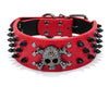 Spiked Dog Collar Designer