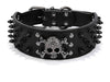 Spiked Dog Collar Designer